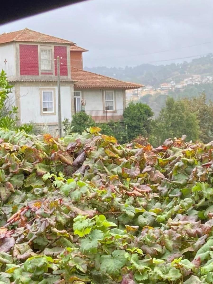 Вилла Quinta Da Chentuada Амаранте Экстерьер фото